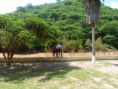 /album/fotogaleria/a87-jpg1/